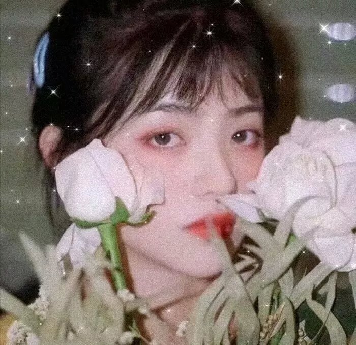 白象